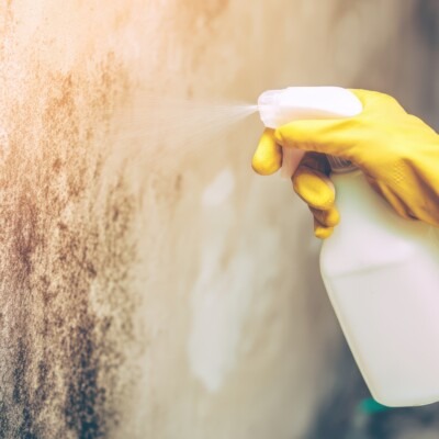 Pulvérisation de vinaigre blanc sur un mur moisi pour traiter l’humidité et éliminer les moisissures dans une maison